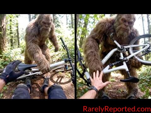 The CLOSEST Cryptid Encounters Ever Caught on Camera