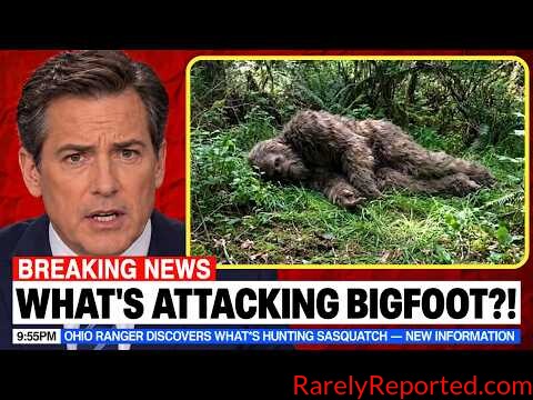 BREAKING! Ranger Found Out What’s Attacking Sasquatch in Ohio – NEW INFORMATION