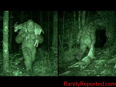 The CLEAREST Cryptid Sightings Ever Captured
