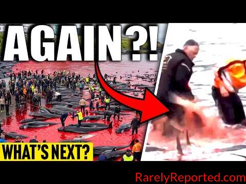 Millions Heard Sonic Booms… Then THIS Happened?! (Strange Sightings 2026)