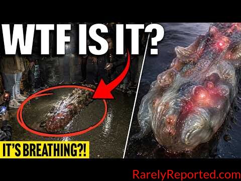 Something BIZARRE Was Found Alive… Nobody Can Explain What It Is! (Strange Sightings 2026)