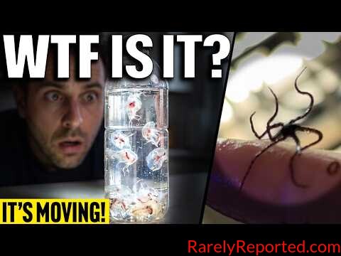 Bizarre Organisms Growing in WATER BOTTLES… They’re ALIVE! (2026 UFO Footage)